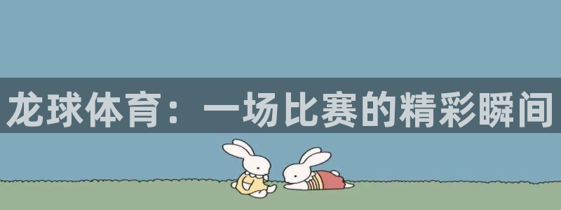 龙球体育：一场比赛的精彩瞬间