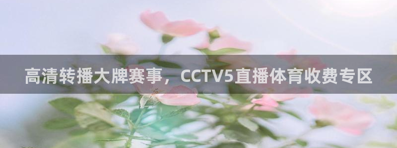 高清转播大牌赛事，CCTV5直播体育收费专区