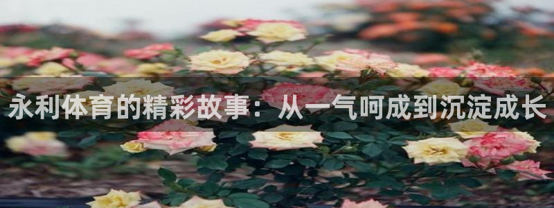 永利体育的精彩故事：从一气呵成到沉淀成长