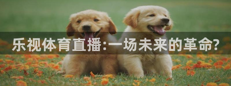 乐视体育直播:一场未来的革命?