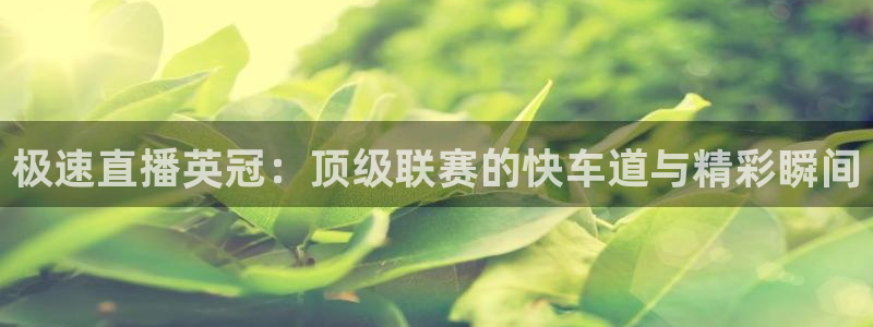 极速直播英冠：顶级联赛的快车道与精彩瞬间