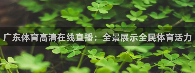 广东体育高清在线直播：全景展示全民体育活力