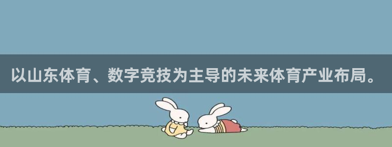 以山东体育、数字竞技为主导的未来体育产业布局。