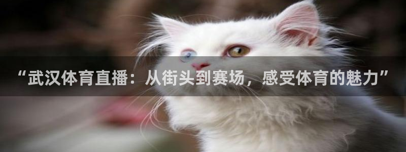 “武汉体育直播：从街头到赛场，感受体育的魅力”