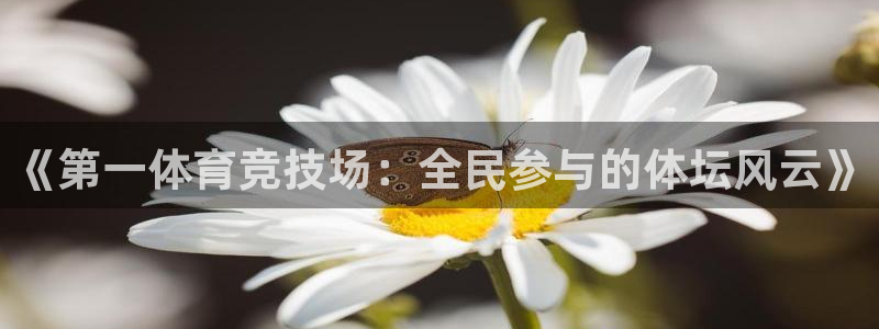 《第一体育竞技场：全民参与的体坛风云》