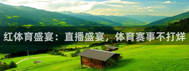 红体育盛宴：直播盛宴，体育赛事不打烊
