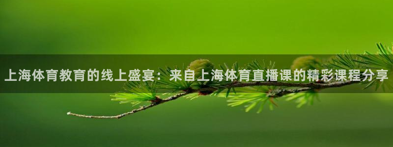 上海体育教育的线上盛宴：来自上海体育直播课的精彩课程分享