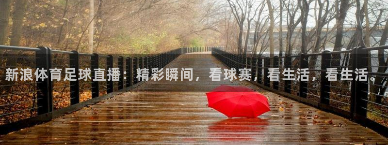 新浪体育足球直播：精彩瞬间，看球赛，看生活，看生活。