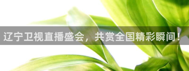 辽宁卫视直播盛会，共赏全国精彩瞬间！
