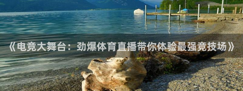 《电竞大舞台：劲爆体育直播带你体验最强竞技场》