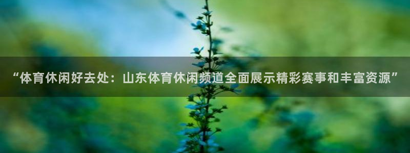 “体育休闲好去处：山东体育休闲频道全面展示精彩赛事和丰富资源”