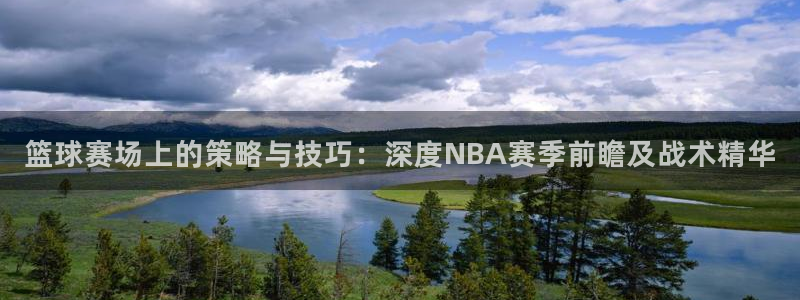 篮球赛场上的策略与技巧：深度NBA赛季前瞻及战术精华