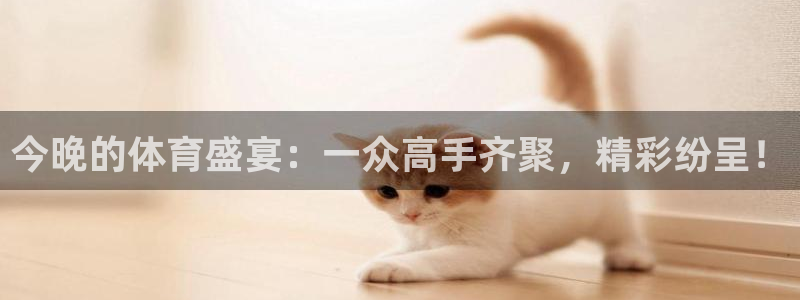 今晚的体育盛宴：一众高手齐聚，精彩纷呈！