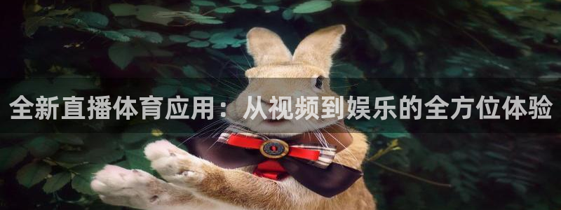 全新直播体育应用：从视频到娱乐的全方位体验