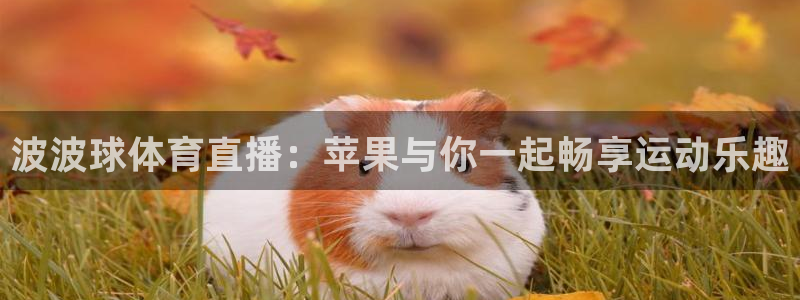 波波球体育直播：苹果与你一起畅享运动乐趣