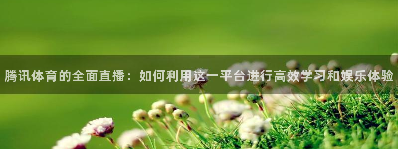 腾讯体育的全面直播：如何利用这一平台进行高效学习和娱乐体验