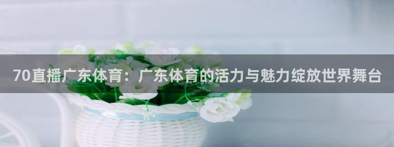 70直播广东体育：广东体育的活力与魅力绽放世界舞台