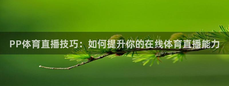 PP体育直播技巧：如何提升你的在线体育直播能力