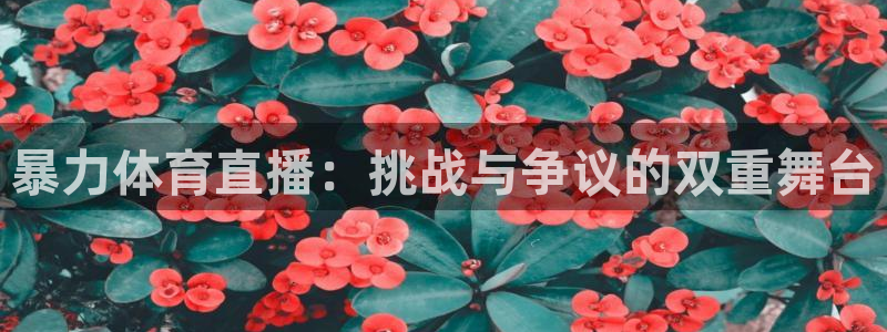 暴力体育直播：挑战与争议的双重舞台